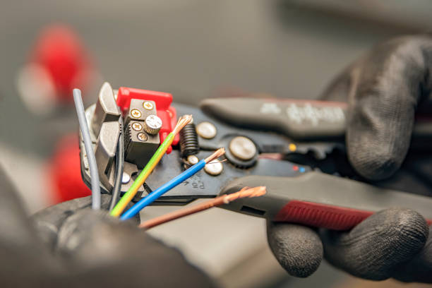 Best Electric Panel Repair  in Redby, MN